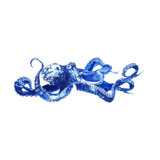 Cobalt Clar Print by Fern Cassidy