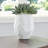Caythan Vase-100334757