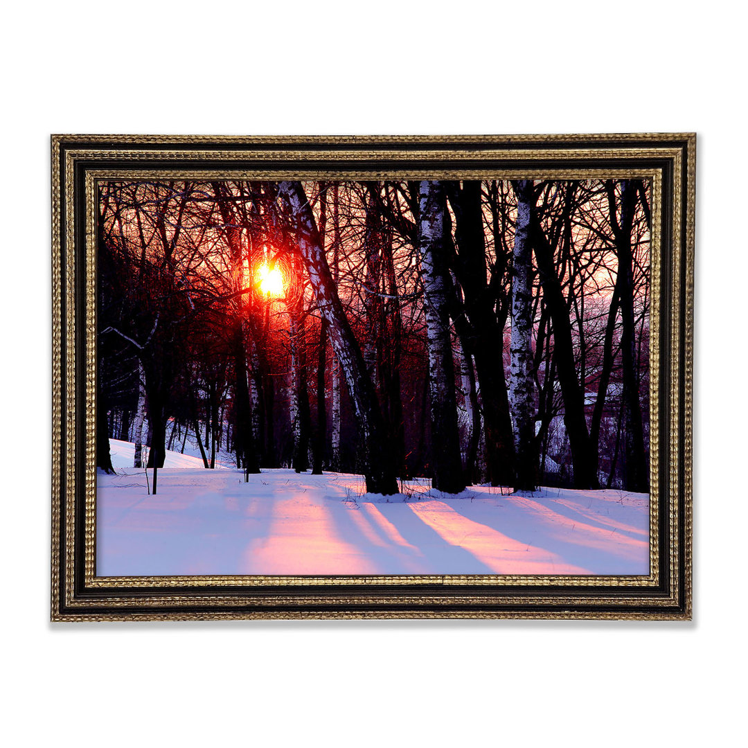 Winter Woodland Sun Gerahmter Druck