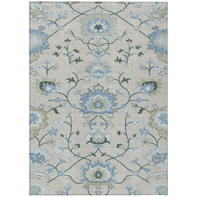 Machine Washable Indoor/Outdoor Chantille ACN2291 Global Rug
