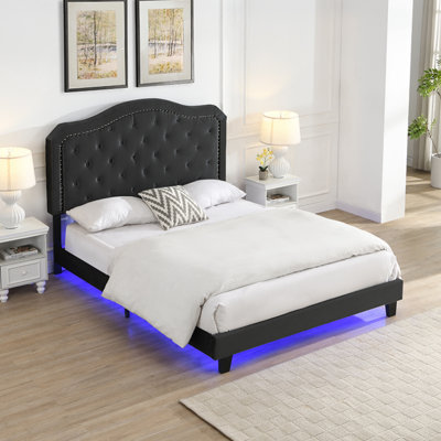 Queen Upholstered Platform Bed with Button Tufted Curved Design, LED Light, Strong Wood Slats, Black Velvet