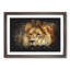 Lion Vol.6 - Picture Frame Graphic Art-62802638-62802641