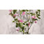 Bougainvillées artificielles Esom 5 pi pour le bureau personnel