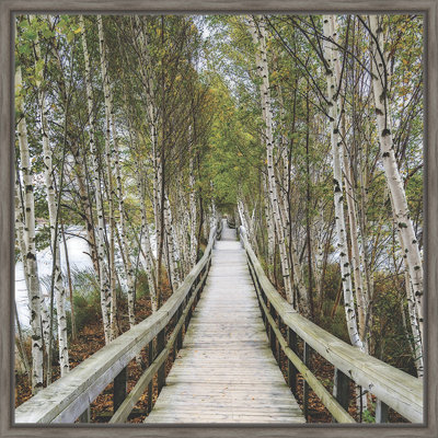 «The Path Home», reproduction de photo encadrée
