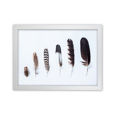 Feathers II by Victoria Frost - Print