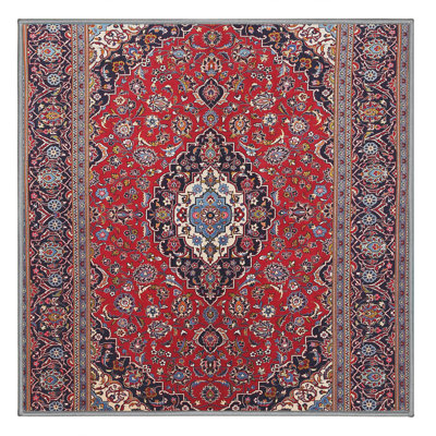 Mikaeel Oriental Indoor Rug