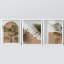 Minimal botanique abstrait ensemble de 3 plantes de palmier tropical Mid-Century, impressions sur toile-90568677