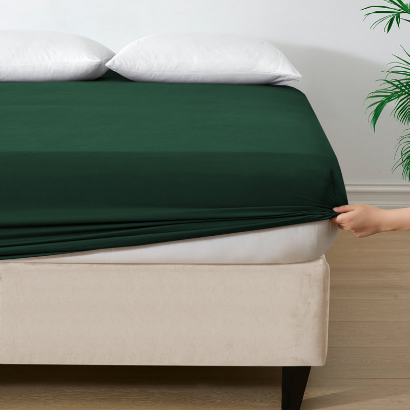Angeliza Microfiber Standard Fitted Sheet, Green, Double (4'6)