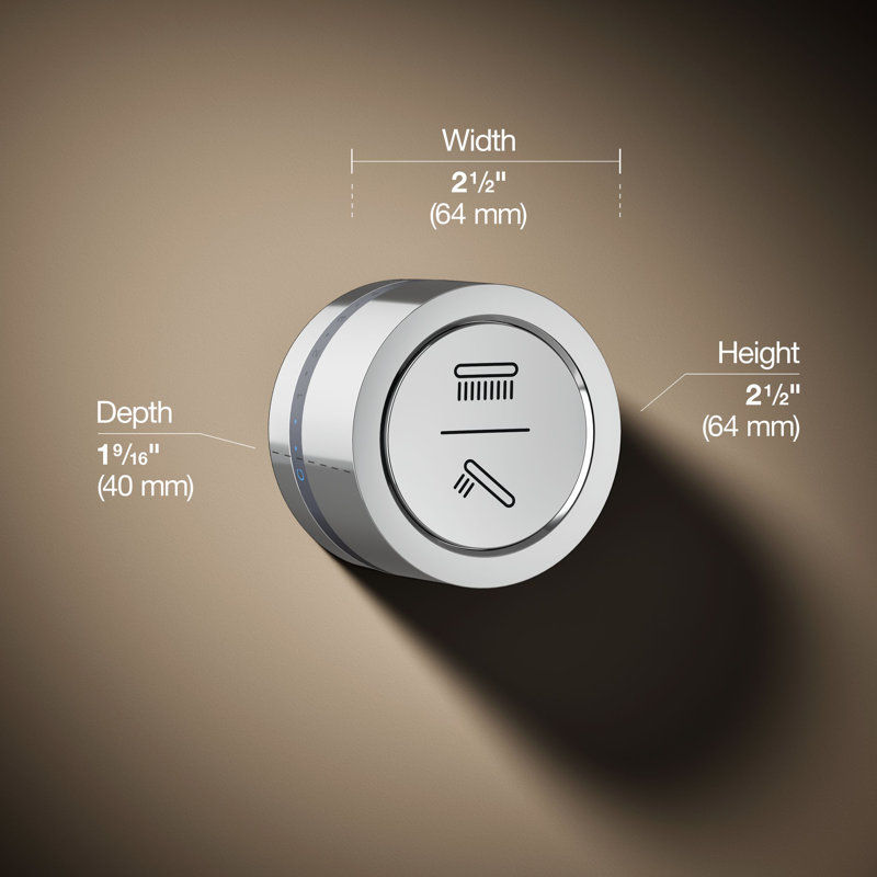 Interface de douche à double sortie DTV Mode ™ avec inverseur Eco-Mode, Sans dérivateur à mode écologique, Chrome poli