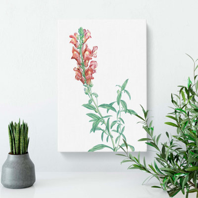 Dragon Flowers by Pierre-Joseph Redoute - Wrapped Canvas Print