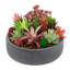 Pot Planter