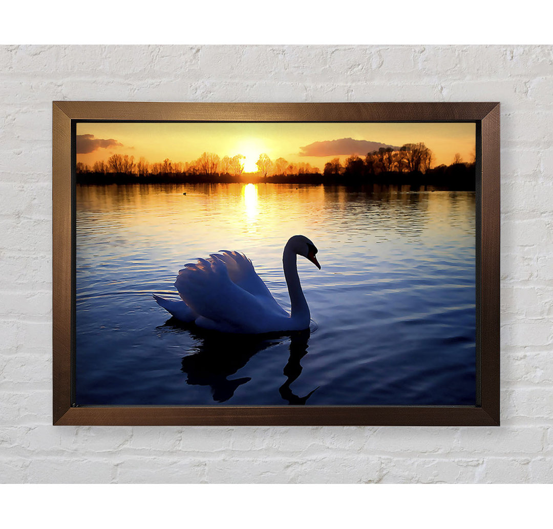 Gerahmtes Bild Lonely Swan