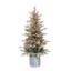 4.5' Lighted Artificial Fir Christmas Tree