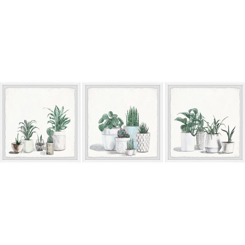 Urban Houseplants by Parvez Taj - 3 Piece Single Picture Frame Painting Set, 45" H x 45" W x 3.81" D