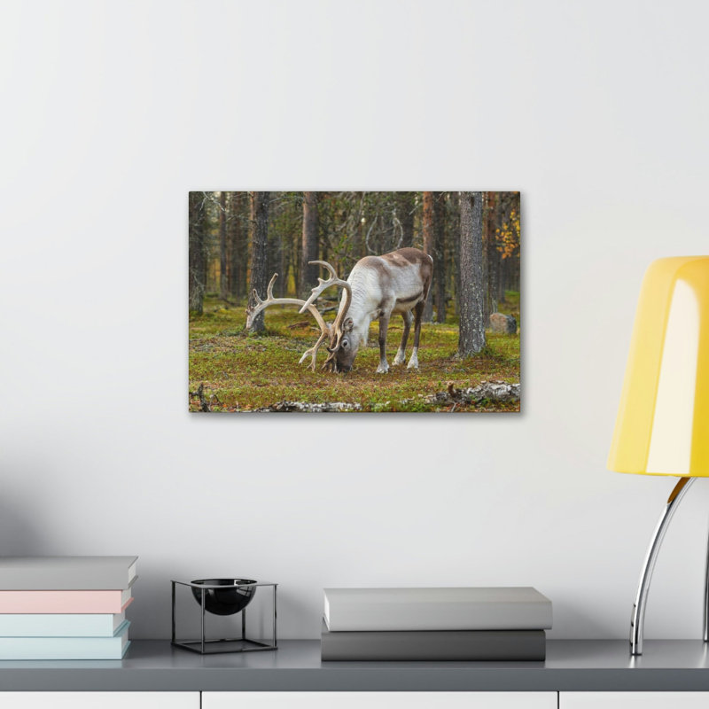 No Frame Print on Canvas