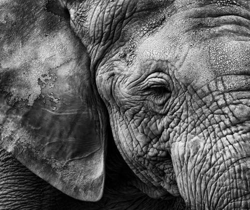 Wrapped Canvas Print, 60.96cm H x 91.44cm W