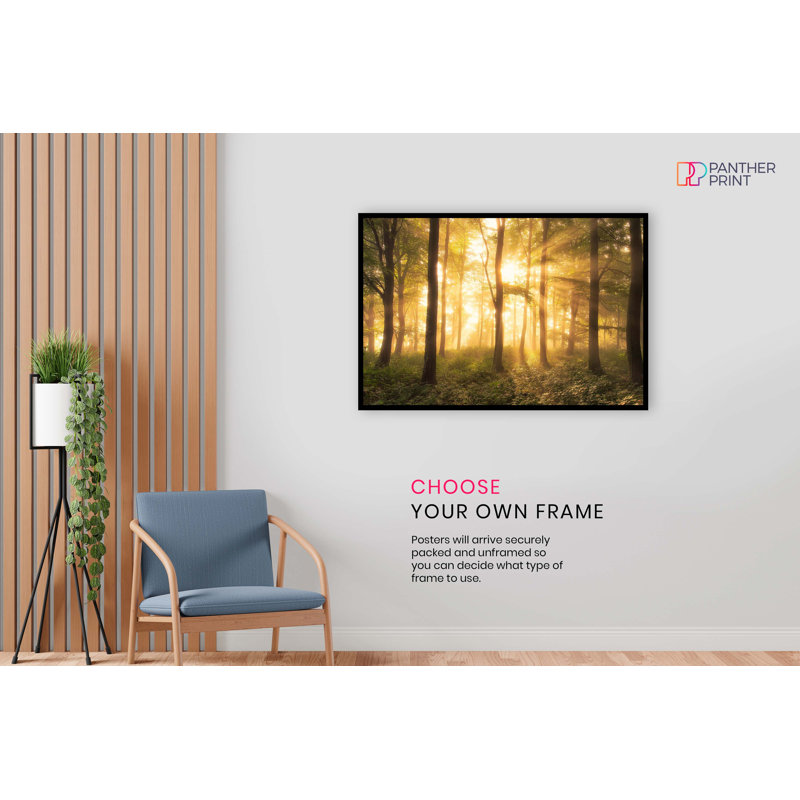 Yellow Warm Sunlight On A Forest - No Frame Print, 20cm H x 31cm W x 0.5cm D