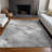 Machine Washable Indoor/Outdoor Claudian ACN1537 Gray Rug-109536193