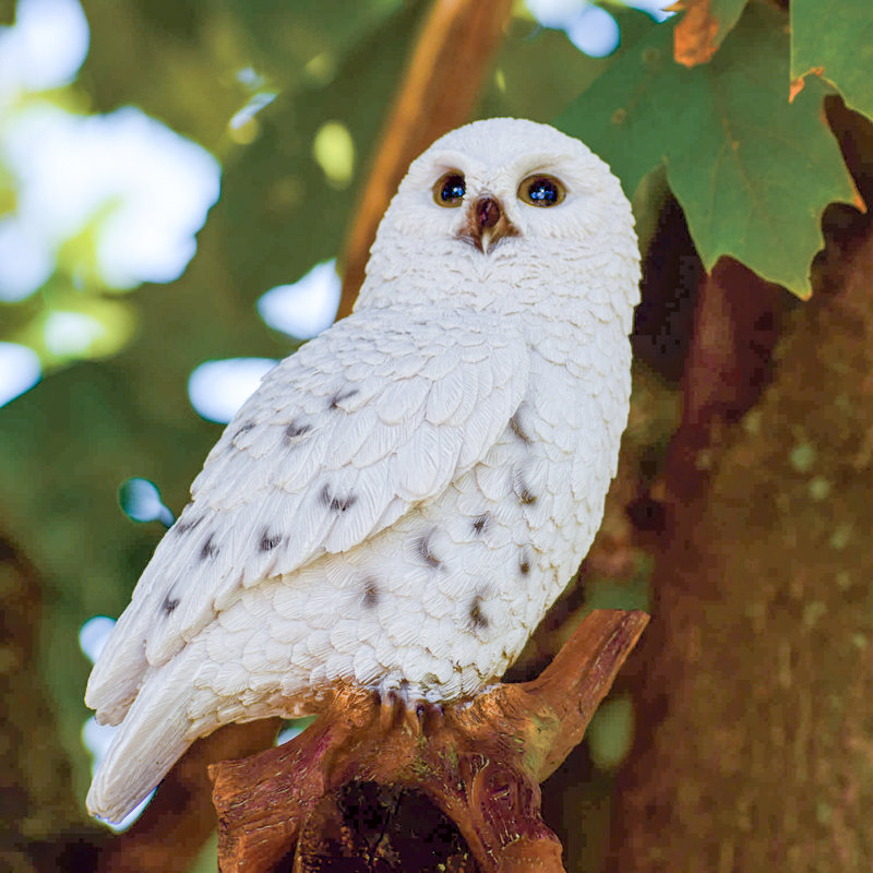 Statue hibou sur souches snowy