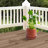 High-quality ceramic flower pots-103011135