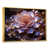 Cadre flottant doré