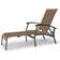 Askar Outdoor Rust-Resistant Metal Chaise Lounge