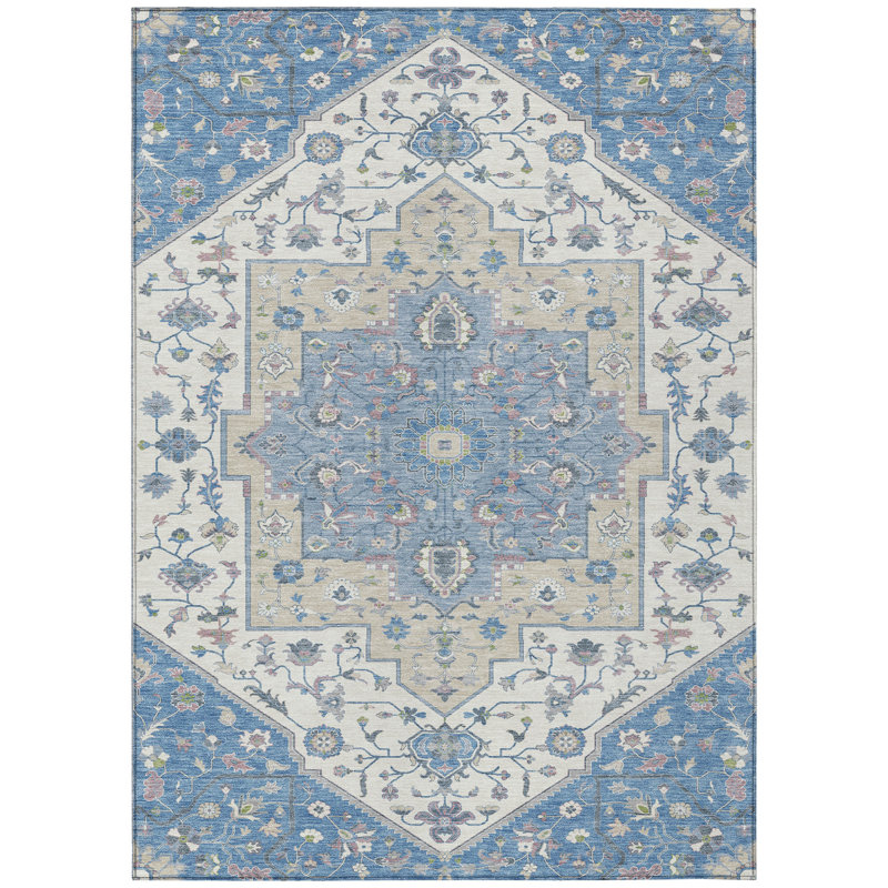 Machine Washable Indoor/Outdoor Chantille ACN2533 Traditional Rug, Denim, Rectangle 8' x 10'