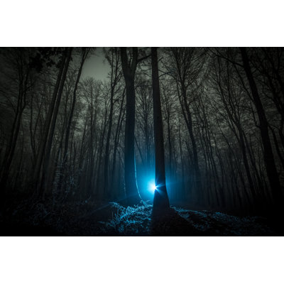 «Dark Scary Night Forest» par Gremlin