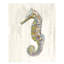 Seahorse Left Print by JP Kilkenny-26726883-26726888