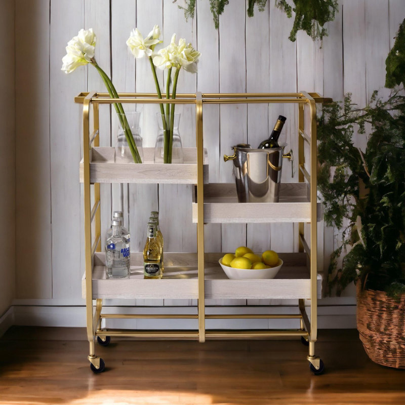 Modern Minimalist Design Bar Cart, White, Gold/White