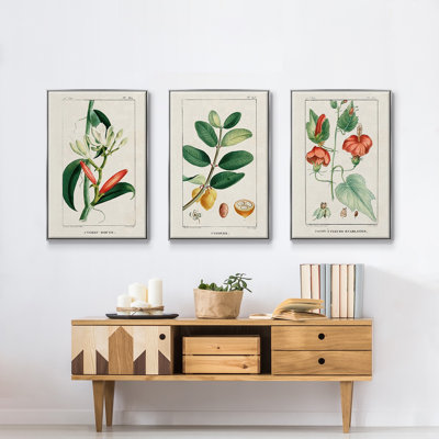 Turpin Tropical Botanicals IV