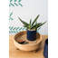 Ceramic Planter-1281159748-1281159745