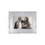 Metal Picture Frame-1046243093