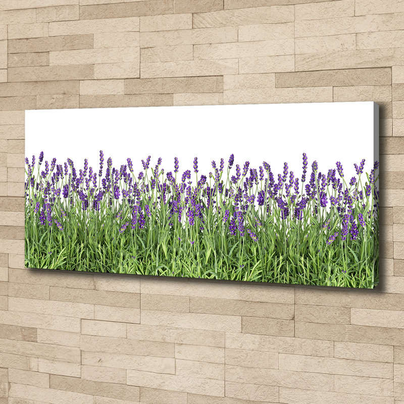 Lavender Flowers - Wrapped Canvas Print