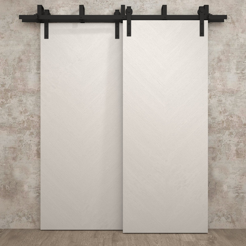 Portes coulissantes de grange coulissantes pour garde-robe | Ego 5005 | Ensemble de quincaillerie Modern Rails | Portes de garde-robe de chambre en bois massif