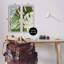 «Modern Layered Monstera Leaves», ensemble de 2 impressions sur toile encadrées par Ziwei Li-286869103-286869097