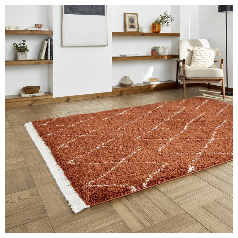 Archuleta area rug Machine Woven Rust, Rectangle 200 x 290cm