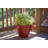 Beehive Pot Planter-91225320