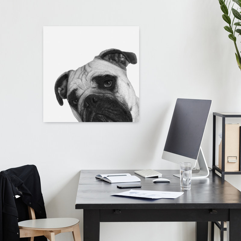 Art contemporain pour chien Que Pasa, H 18 po x l 18 po
