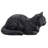 Resting Black Tabby Cat-126248605
