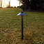 LED Pathway Light-79111273-79111274