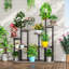 Plant Stand-1873477803