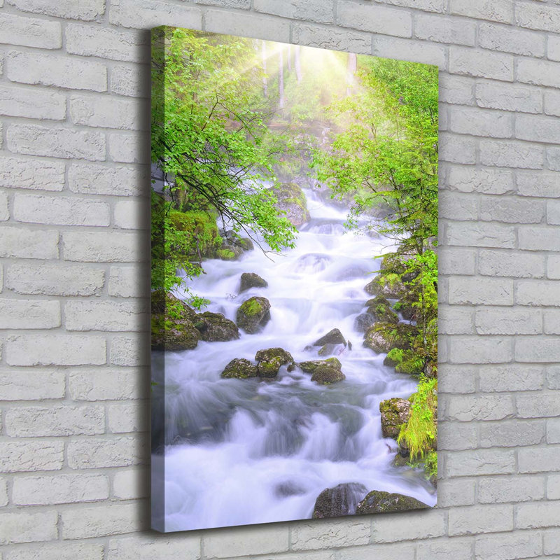 Mountain Stream - Wrapped Canvas Print