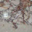 Table d'appoint en marbre naturel-1421292286