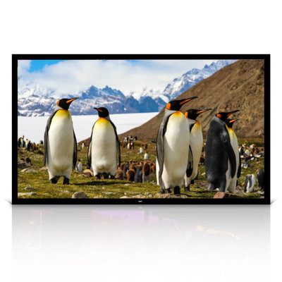 Pyle Fixed Frame Projector Screen Projector Screen