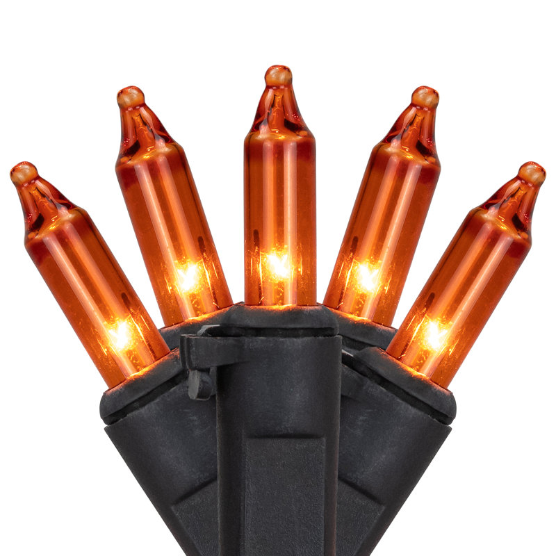 50-Count Mini Christmas Light Set 10ft Wire, Orange/Black