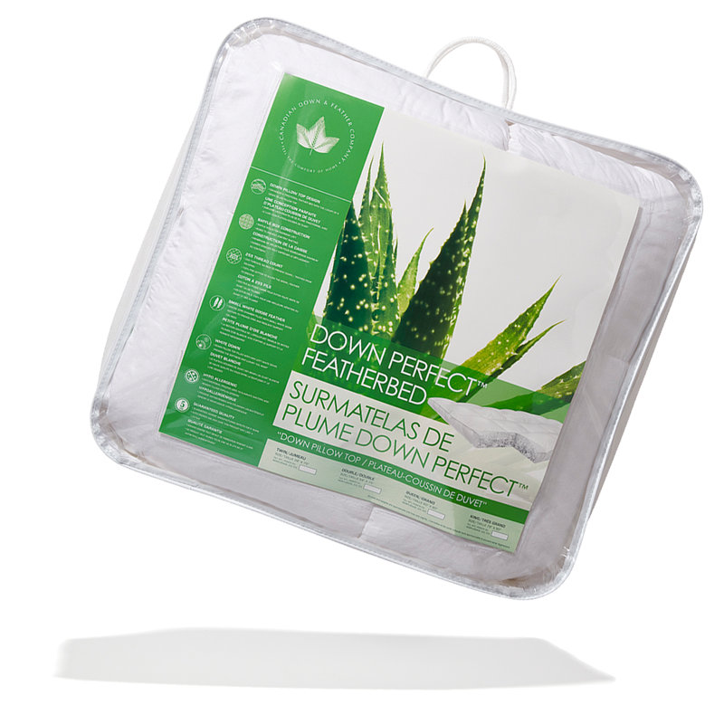 Oreiller en duvet parfait, Standard, Ferme
