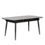 Benedick Extendable Glass Top Metal Base Dining Table