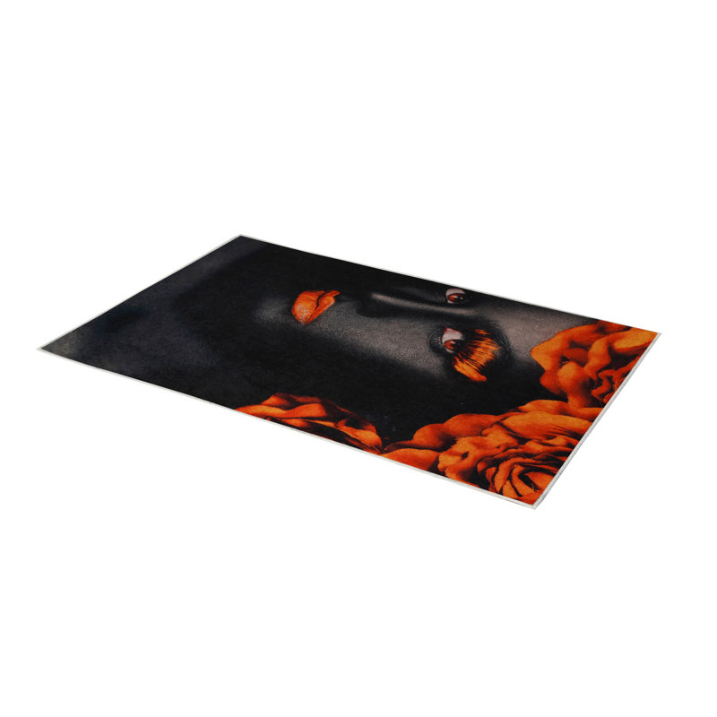 Tapis d'entrée de qualité supérieure, 31,5 po x 78,7 po | 100% polyester, antibactérien | Poils de 0,04 po de hauteur, antidérapant, dessous, lavable à la machine | Impression numérique 3D | Idéal pour le salon et le vestibule, facile d'entretien