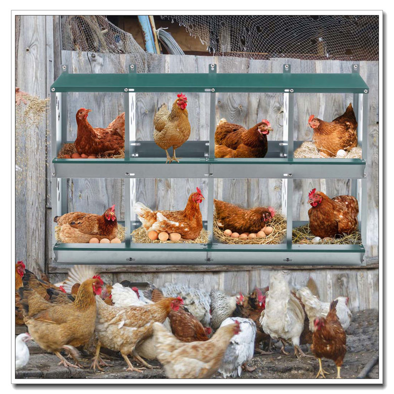 Boîte de 8 poulets en métal